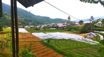 Tunggilis,  Kampung Indah Penghasil Sayuran 